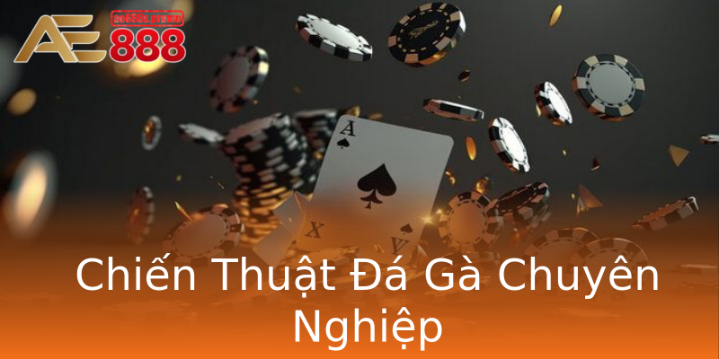 Chiến Thuật Đá Gà Chuyên Nghiệp Chiến Thuật Đá Gà Chuyên Nghiệp