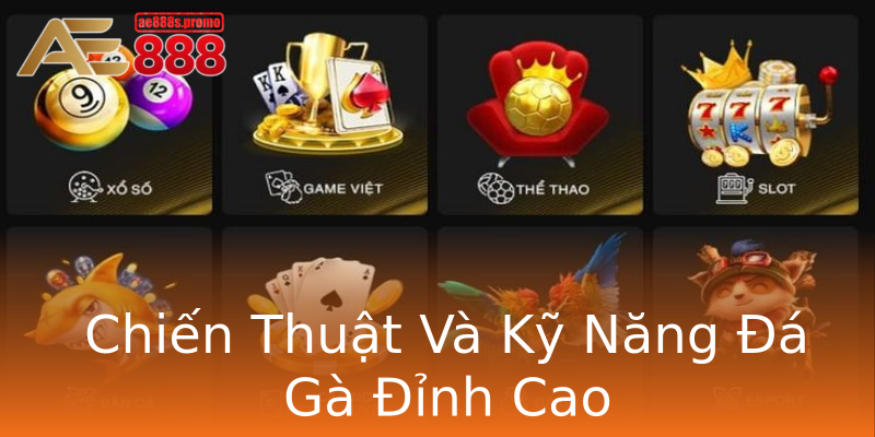 Chiến Thuật Và Kỹ Năng Đá Gà Đỉnh Cao Chiến Thuật Và Kỹ Năng Đá Gà Đỉnh Cao