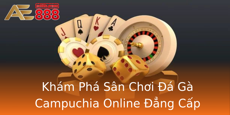 Khám Phá Sân Chơi Đá Gà Campuchia Online Đẳng Cấp Khám Phá Sân Chơi Đá Gà Campuchia Online Đẳng Cấp