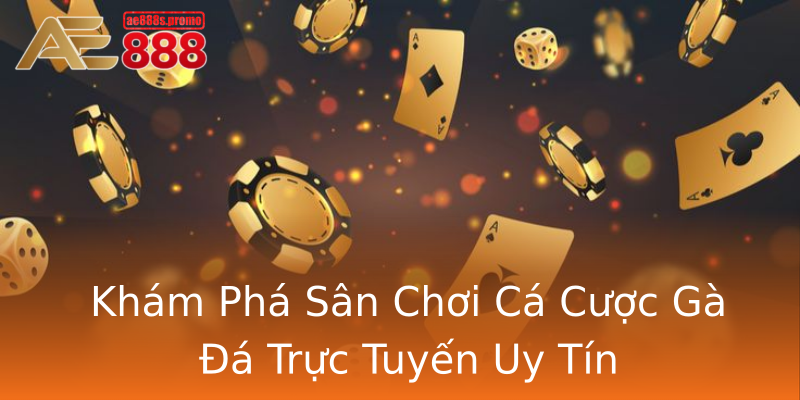 Khám Phá Sân Chơi Cá Cược Gà Đá Trực Tuyến Uy Tín Khám Phá Sân Chơi Cá Cược Gà Đá Trực Tuyến Uy Tín
