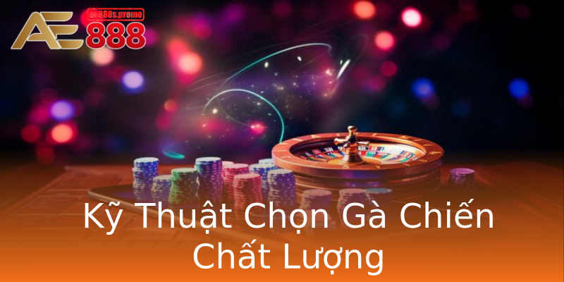 Kỹ Thuật Chọn Gà Chiến Chất Lượng Kỹ Thuật Chọn Gà Chiến Chất Lượng