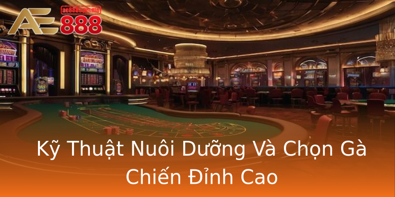 Kỹ Thuật Nuôi Dưỡng Và Chọn Gà Chiến Đỉnh Cao Kỹ Thuật Nuôi Dưỡng Và Chọn Gà Chiến Đỉnh Cao