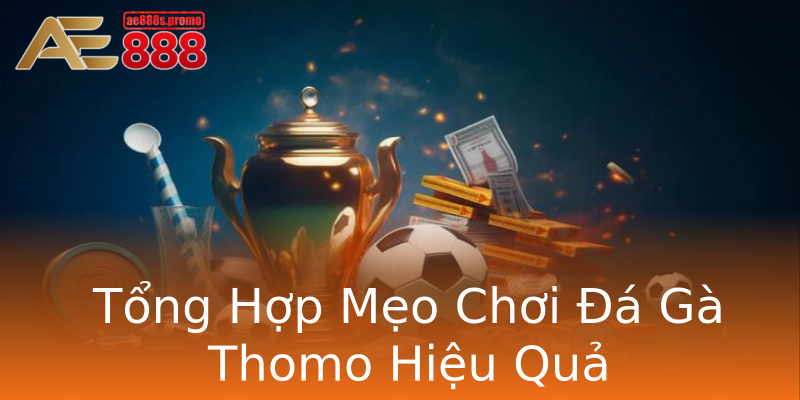 Tổng Hợp Mẹo Chơi Đá Gà Thomo Hiệu Quả Tổng Hợp Mẹo Chơi Đá Gà Thomo Hiệu Quả