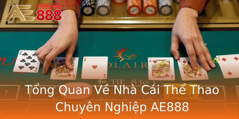 Tổng Quan Về Nhà Cái Thể Thao Chuyên Nghiệp AE888 Tổng Quan Về Nhà Cái Thể Thao Chuyên Nghiệp AE888