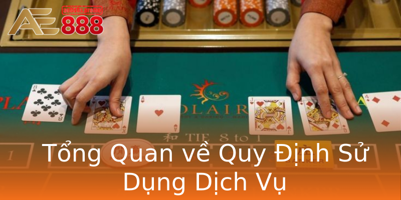 Tổng Quan về Quy Định Sử Dụng Dịch Vụ Tổng Quan về Quy Định Sử Dụng Dịch Vụ