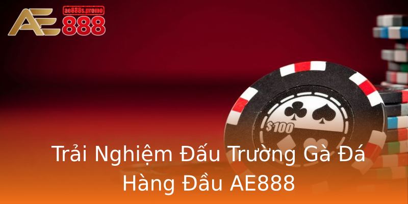 Trải Nghiệm Đấu Trường Gà Đá Hàng Đầu AE888 Trải Nghiệm Đấu Trường Gà Đá Hàng Đầu AE888