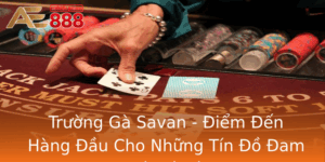 Truong Ga Savan Iem En Hang Au Cho Nhung Tin O Am Me A Ga